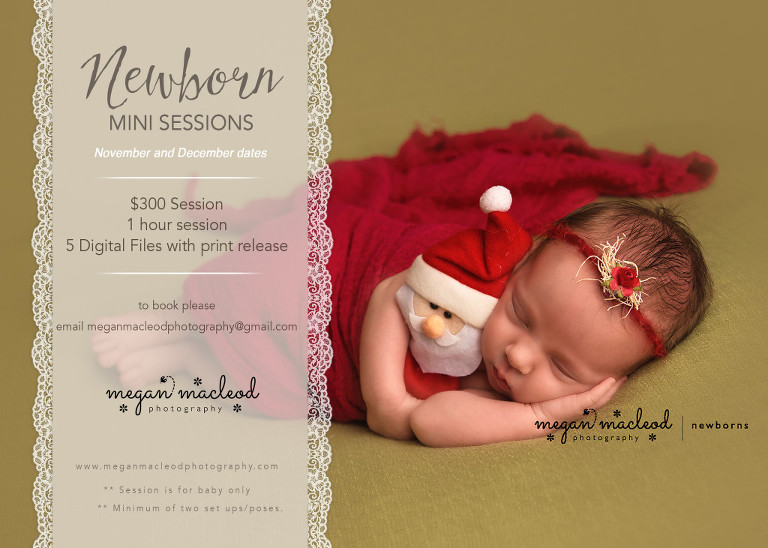 Professional Newborn Photographer