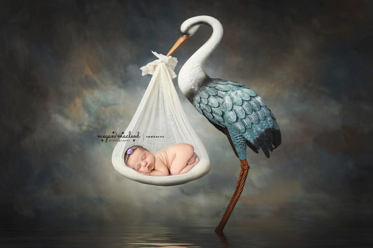 Cleveland Newborn Photographer | Newborn Photography Cleveland Ohio