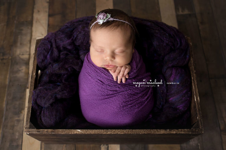 Cleveland Newborn Photographer | Newborn Photography Cleveland Ohio