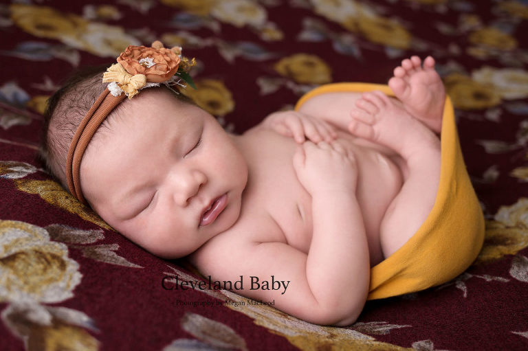 Clevelands Best Newborn Photographer
